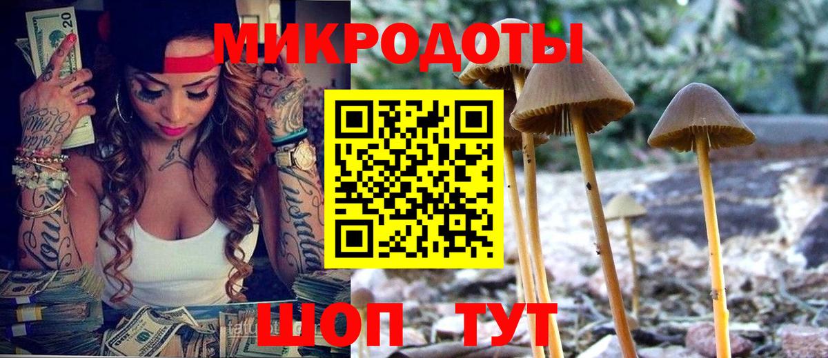 Галлюциногенные грибы Psilocybine cubensis Качканар