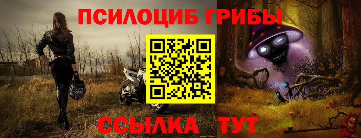 Галлюциногенные грибы ЛСД  купить наркоту  Качканар  Вход с VPN 